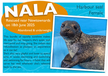 Load image into Gallery viewer, The Pup Protector Package