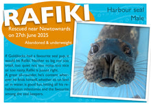 Load image into Gallery viewer, The Pup Protector Package