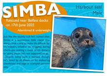 Load image into Gallery viewer, The Pup Protector Package