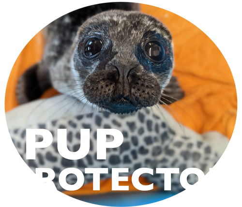 The Pup Protector Package